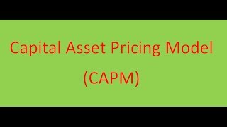 capital asset pricing model mba project portfolio management page 15 [upl. by Yssak798]