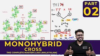 Mastering MONOHYBRID CROSS  Principles of Inheritance and Variations  CLASS 02 [upl. by Enelrak]