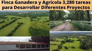 Finca 3280 Tareas Ganadera y Agrícola para Desarrollar Diferentes Proyectos en Monte Plata Rep Dom [upl. by Sosanna363]