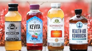 Nutrition expert reveals health benefits to drinking kombucha [upl. by Htrowslle]