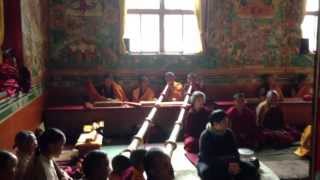 Tibetan Buddhist monks chanting in monastery in Nepal during a special puja [upl. by Penni]