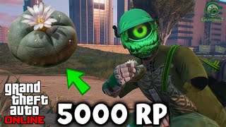 GTA Online  Best SOLO Peyote Plant RP Farm Method 🟢 [upl. by Yoral]