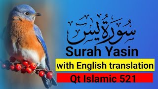 Surah Yaseen Full Recitation  Viral Stunning Audio with English Translation  Qt Islamic 521 [upl. by Doy]