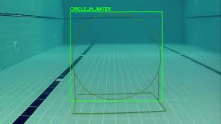 Computer Vision  Underwater Circle Detection Model test [upl. by Eninej]