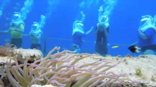 Helmet Diving in Cozumel [upl. by Seuqcaj]