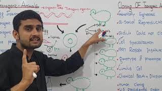 Ch23 Lec12 Cloning of Transgenic animals UrduHindi Lecture Fsc MDCAT NUMS M Bilal Chaudhary [upl. by Demahum]