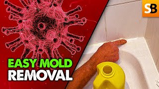 How to Kill Black Mold Safely amp Forever [upl. by Smiga]