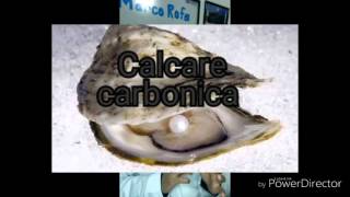 Calcarea carbonica homeopatia [upl. by Aneloc218]