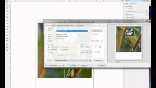 Rasterizing Images in CorelDRAW  Tricks and Tips [upl. by Annoek]