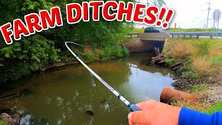 SURPRISING Ditch Fishing Fields of INDIANA [upl. by Winter]