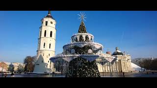 Kaledu egle Vilnius Lithuania 2022 Christmas tree Вильнюс Литва Рождественская ёлка weihnachtsbaum [upl. by Orfield]