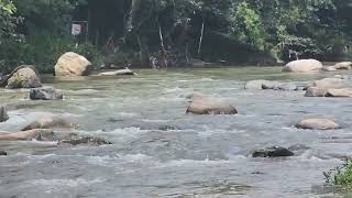 Jarabacoa parque Ecologico La Confluenciael Jimenoa y el Yaque del Nortejulio 2024 [upl. by Guyer753]