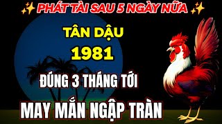 ĐẾN THỜI TRỜI CHO GIÀU SAU 5 NGÀY NỮA NỔ LỘC LỚN TÂN DẬU 1981 ĐÚNG 3 THÁNG TỚI ĐÂY MAY MẮN BÙNG NỔ [upl. by Eanahc]