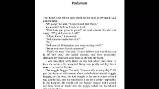 Wonder Chapter 21 Padawan [upl. by Nnylamme]