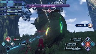 Xenoblade Chronicles 2 Switch Gameplay [upl. by Akeim]