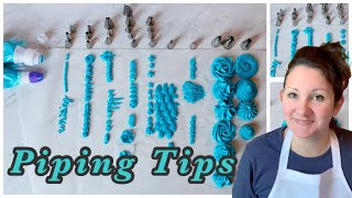 Piping tip and their designs  plus which are my favourite piping tips [upl. by Yessej]