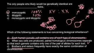 Monozygotic and Dizygotic twins [upl. by Gelb794]