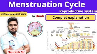 Menstruation cycle  Female reproductive system  For NEET Medical Nursing students [upl. by Nerty]