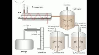 Process of Fermentation [upl. by Akener854]