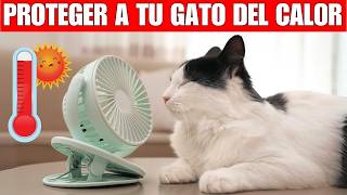 Consejos para que tu gato NO SUFRA con el calor del verano [upl. by Naghem]