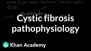 Cystic fibrosis pathophysiology  Respiratory system diseases  NCLEXRN  Khan Academy [upl. by Akemahs971]