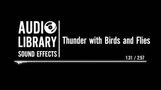 Thunder with Birds and Flies  Sound Effect [upl. by Ogir]