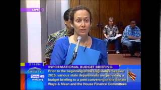 DLNR budget briefing WAM FIN 11315 [upl. by Mcmurry]