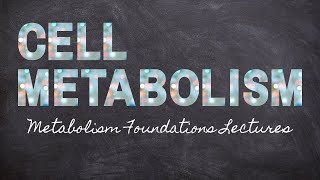 Metabolism All Together  Part 13 Metabolism Foundation  Nourishable Macronutrients Lecture 29 [upl. by Noraha]