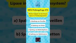 📚 MFA Prüfungsvorbereitung  Prüfungsfrage 74 [upl. by Pfister189]