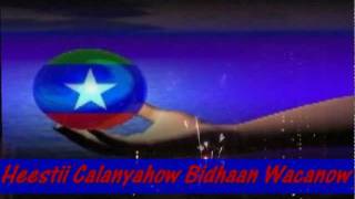 HEES WADANI CALANYAHOW BIDHAAN WACANOW PATROOL IYO HIBAAQ 2012 [upl. by Yelekreb]