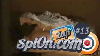 Le Zap de Spi0n TV 13 [upl. by Matazzoni]