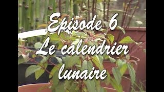 Plantes EP6  Le calendrier lunaire [upl. by Steffi837]