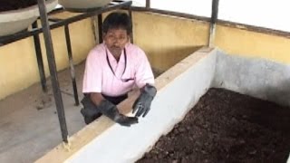 How to make Vermicompost [upl. by Ulita]