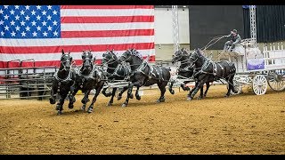 The Great Midwest Horse Fair [upl. by Morie593]