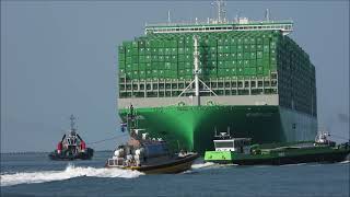 aankomst Ever Ace met Boluda Towage Loodswezen en Port of Rotterdam [upl. by Nesral]