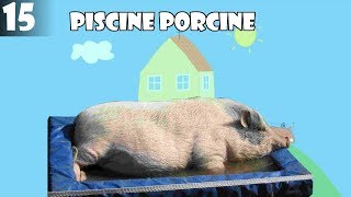 YTP PeppAÏE Pig Episode 15  Piscine Porcine Final Saison 3 [upl. by Bobina832]