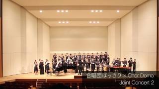 Agnus Dei 『Missa pro Pace』より [upl. by Downs]