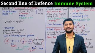 2nd line of defense  innate immunity  Second line of defense immune system class 11 [upl. by Anihta]