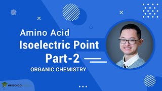 Isoelectric Point of Amino Acids Part 2  MCAT Organic Chemistry Prep [upl. by Refinnaj]