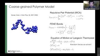 Molecular Dynamics Simulation of Polymers with Jan Michael Carrillo 2020 [upl. by Parcel310]