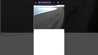 Finding Exposed Webcams with Google Dorking Part 1  cybersecurity ethicalhacking google shorts [upl. by Itoc982]