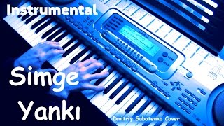 Yankı instrumental  Simge Dmitriy Subotenko Cover [upl. by Onitrof]