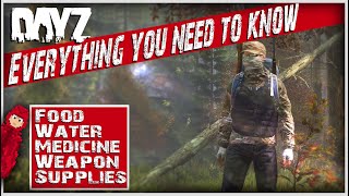 The only DayZ beginners guide youll probably ever need  How to find food medicine etc [upl. by Lay]