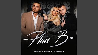 Plan B feat Kamelia [upl. by Kizzie744]