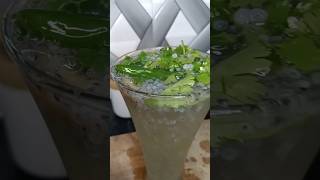 GINGER SODA SARBATH 🍹🍺🍷trendingonshorts youtubeontrending mojito [upl. by Nemraciram]