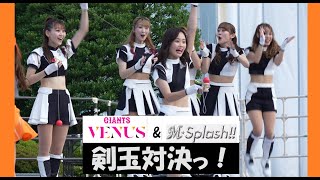 20240604 東京ドーム ビジター応援 「M☆Splash」 3 Venus amp Msplash 剣玉対決っ！！ [upl. by Nyrahtak]