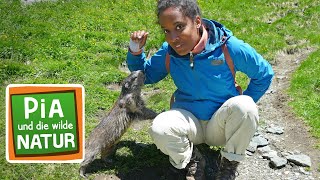 Abenteuer Hochgebirge  Reportage für Kinder  Pia und die wilde Natur [upl. by Willett]