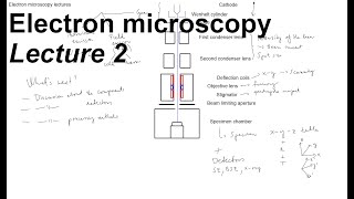 Microscope Types Parts and Function [upl. by Home644]