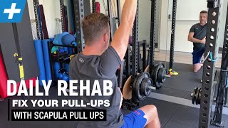 Fix Your Pull Ups with Scapula Pull Ups  Tim Keeley  Physio REHAB [upl. by Nadiya]