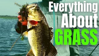 BASS Fishing GRASS  Milfoil Coontail Hydrilla amp Eelgrass Fishing The 1 COVER For Big Bass [upl. by Ahsetal]